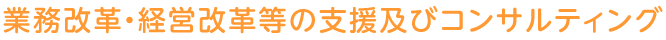 業務改革・経営改革等の支援及びコンサルティング