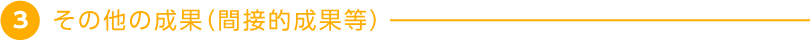 3 その他の成果（間接的成果等）